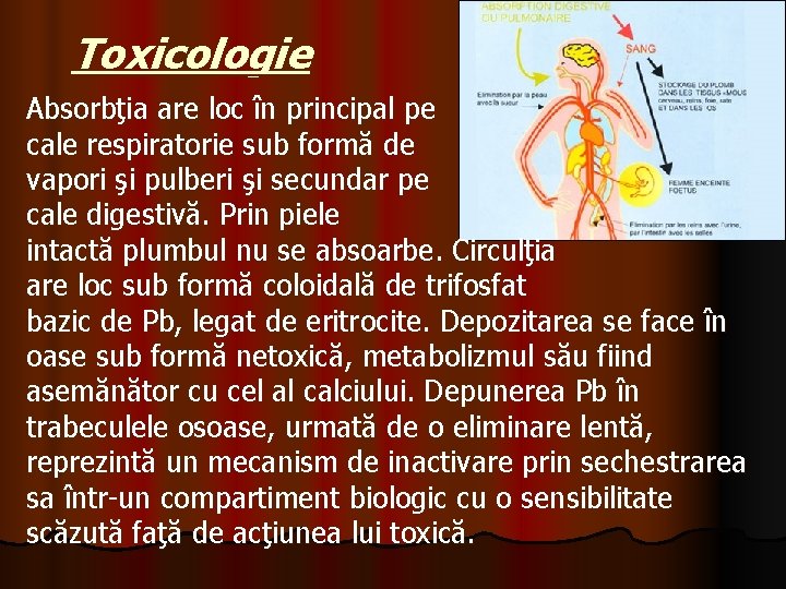 Toxicologie Absorbţia are loc în principal pe cale respiratorie sub formă de vapori şi