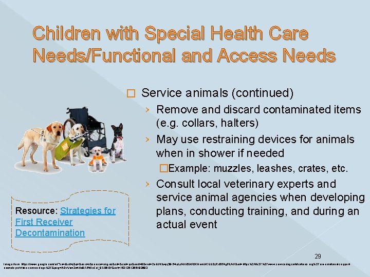 Children with Special Health Care Needs/Functional and Access Needs � Resource: Strategies for First