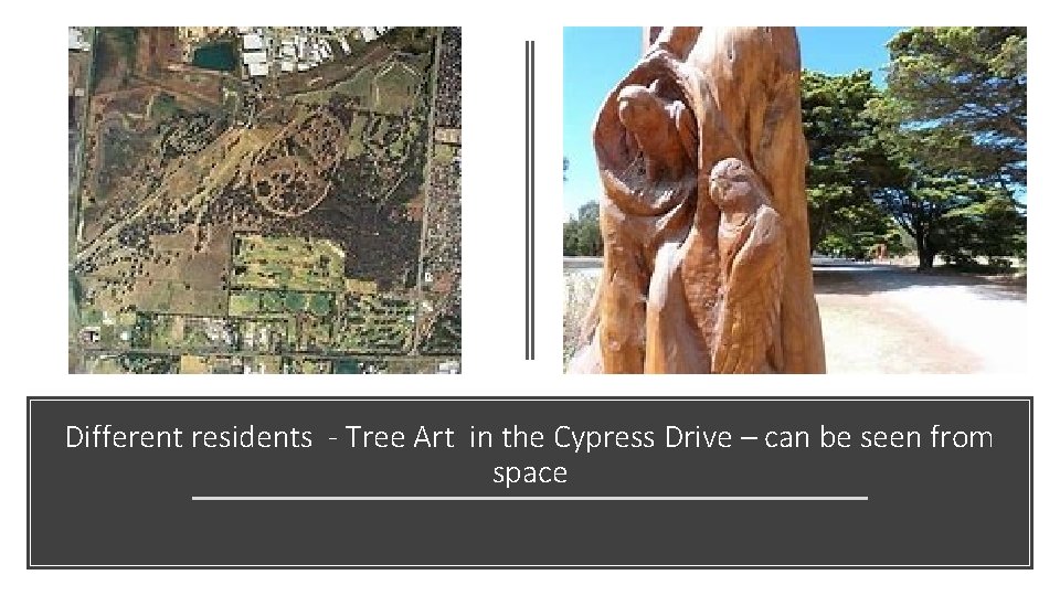 Different residents - Tree Art in the Cypress Drive – can be seen from