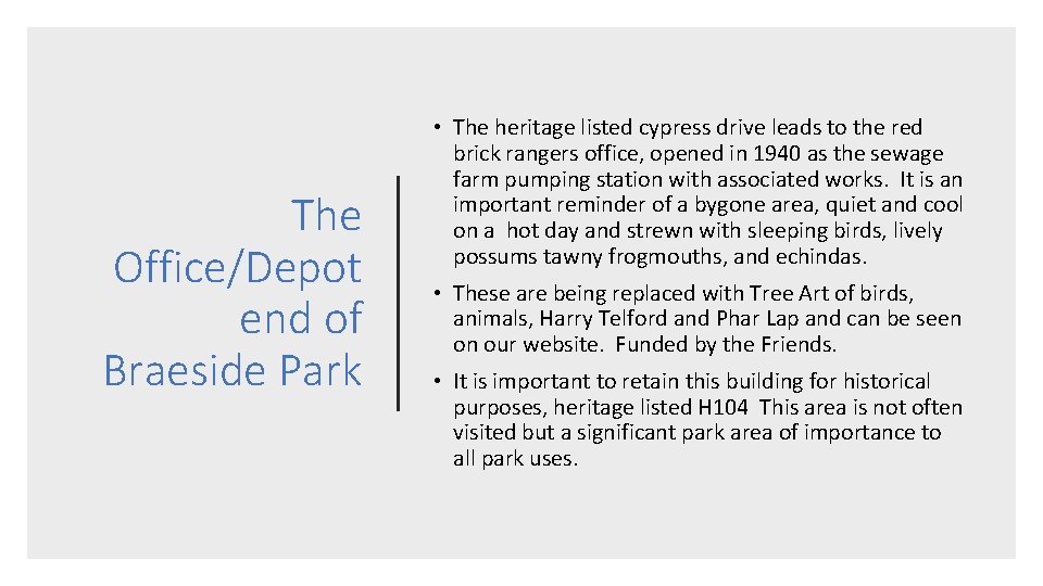 The Office/Depot end of Braeside Park • The heritage listed cypress drive leads to