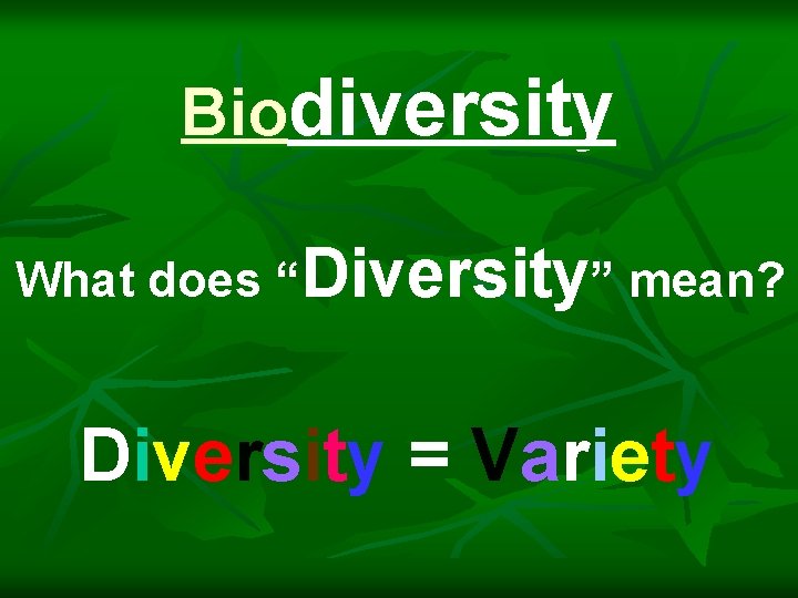 Biodiversity What does “Diversity” mean? Diversity = Variety 