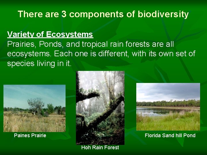 There are 3 components of biodiversity Variety of Ecosystems Prairies, Ponds, and tropical rain