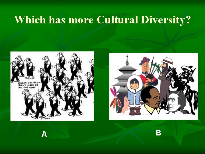 Which has more Cultural Diversity? A B 