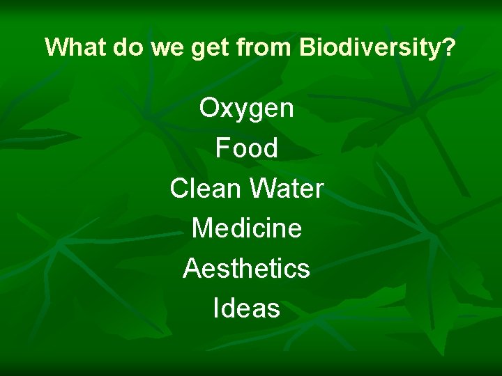 What do we get from Biodiversity? Oxygen Food Clean Water Medicine Aesthetics Ideas 