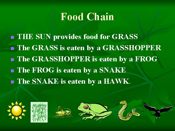 Food Chain n n THE SUN provides food for GRASS The GRASS is eaten