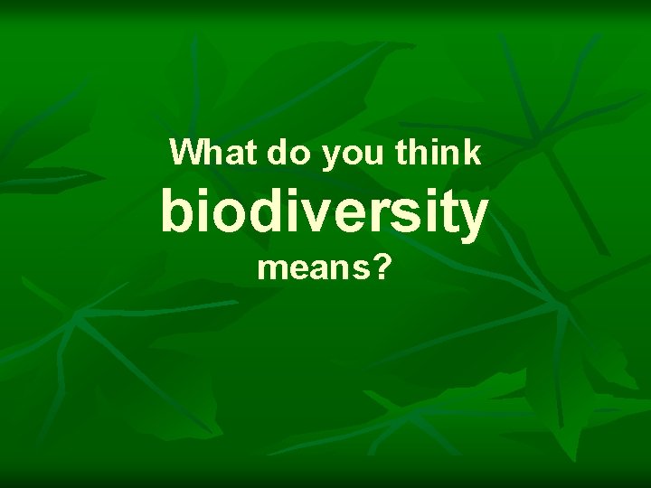 What do you think biodiversity means? 