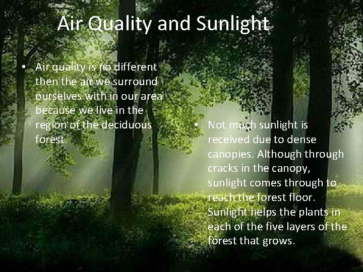 Air Quality and Sunlight • Air quality is no different then the air we