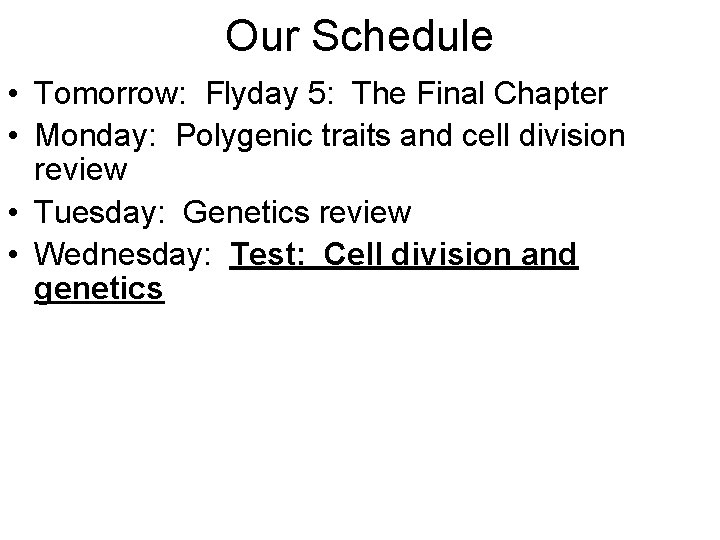 Our Schedule • Tomorrow: Flyday 5: The Final Chapter • Monday: Polygenic traits and