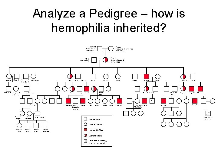Analyze a Pedigree – how is hemophilia inherited? 