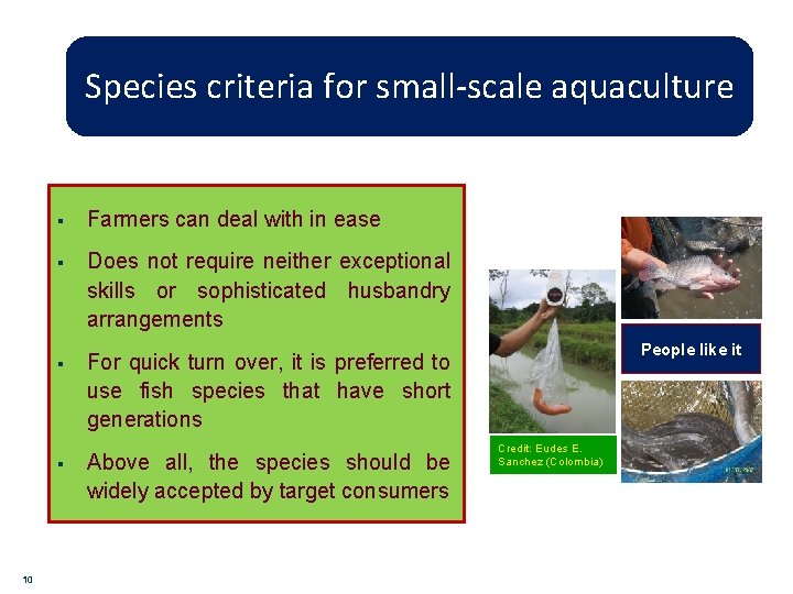 Species criteria for small-scale aquaculture § Farmers can deal with in ease § Does