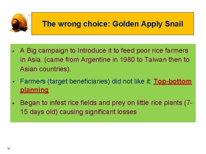 The wrong choice: Golden Apply Snail 12 § A Big campaign to Introduce it