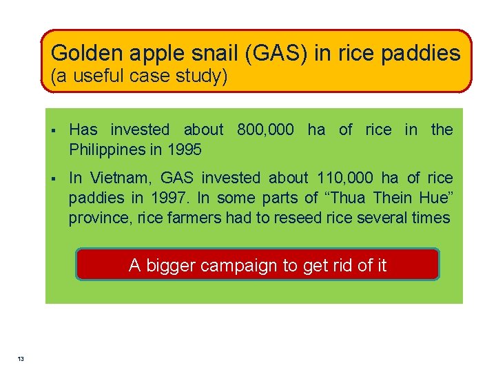 Golden apple snail (GAS) in rice paddies (a useful case study) § Has invested