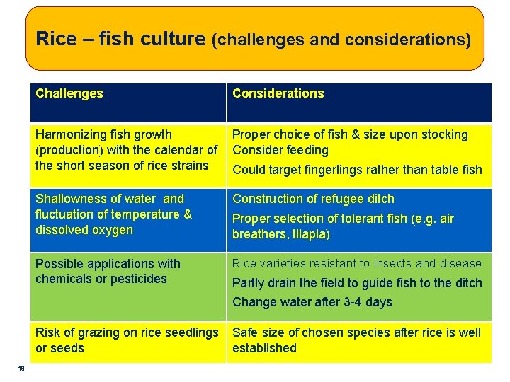 Rice – fish culture (challenges and considerations) Challenges Considerations Harmonizing fish growth Proper choice