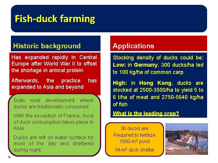 Fish-duck farming Historic background Applications Has expanded rapidly in Central Europe after World War