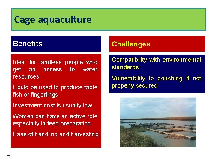 Cage aquaculture Benefits Challenges Ideal for landless people who get an access to water
