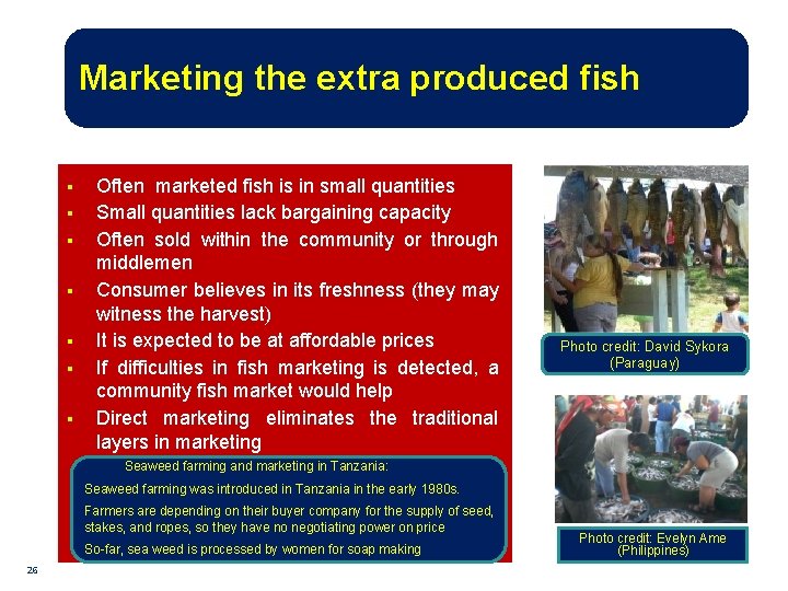Marketing the extra produced fish § § § § Often marketed fish is in
