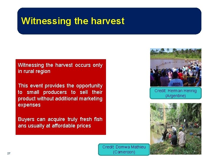 Witnessing the harvest occurs only in rural region This event provides the opportunity to