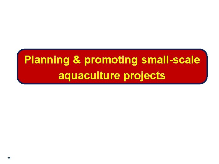 Planning & promoting small-scale aquaculture projects 28 