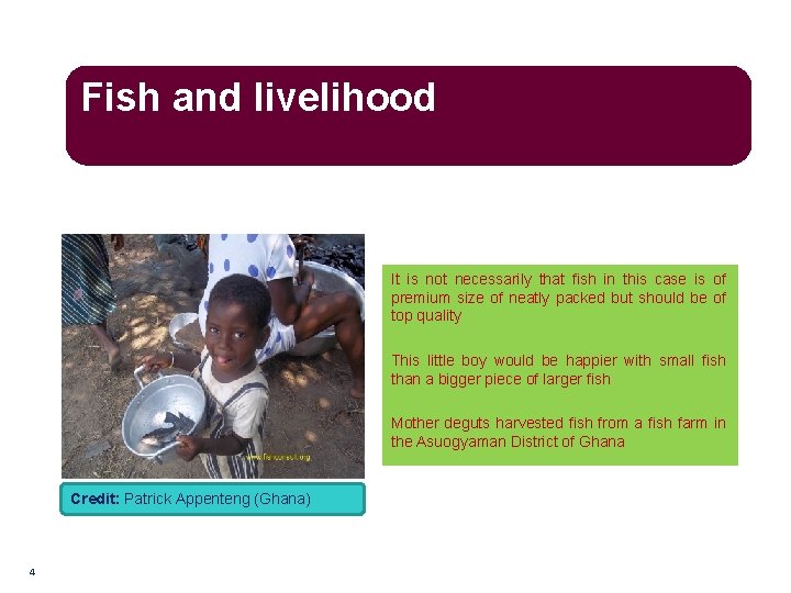 Fish and livelihood It is not necessarily that fish in this case is of