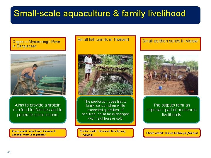 Small-scale aquaculture & family livelihood Cages in Mymensingh River in Bangladesh Aims to provide