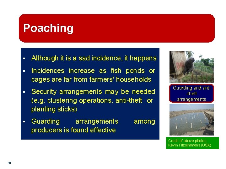 Poaching § Although it is a sad incidence, it happens § Incidences increase as