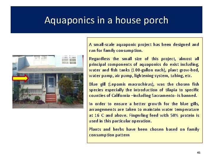Aquaponics in a house porch A small-scale aquaponic project has been designed and run