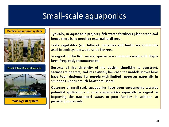 Small-scale aquaponics Vertical aquaponic system Typically, in aquaponic projects, fish waste fertilizers plant crops