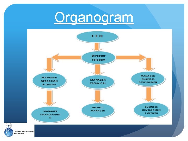 Organogram 