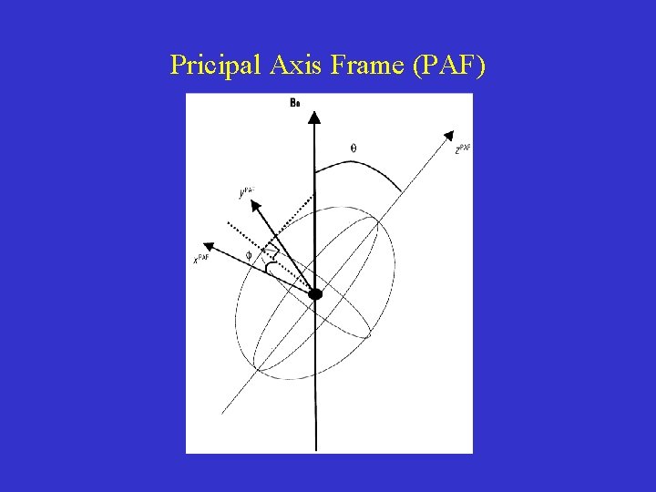 Pricipal Axis Frame (PAF) 