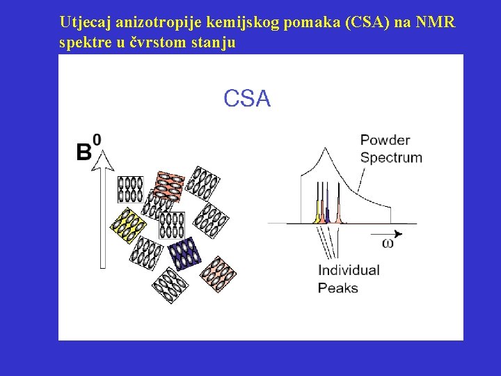 Utjecaj anizotropije kemijskog pomaka (CSA) na NMR spektre u čvrstom stanju 