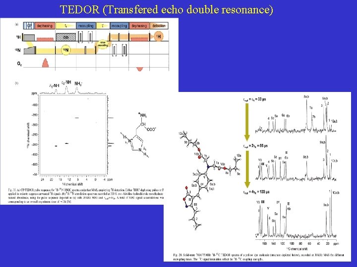 TEDOR (Transfered echo double resonance) 
