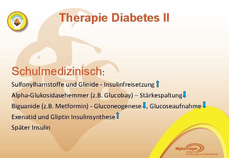 Therapie Diabetes II Schulmedizinisch: Sulfonylharnstoffe und Glinide - Insulinfreisetzung Alpha-Glukosidasehemmer (z. B. Glucobay) –