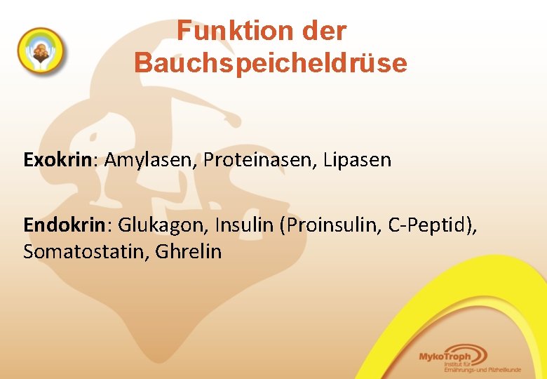 Funktion der Bauchspeicheldrüse Exokrin: Amylasen, Proteinasen, Lipasen Endokrin: Glukagon, Insulin (Proinsulin, C-Peptid), Somatostatin, Ghrelin