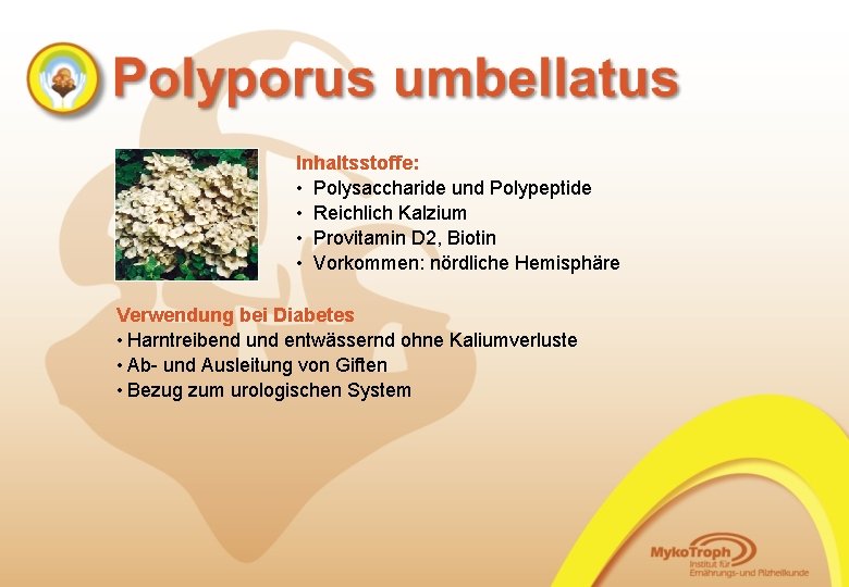 Inhaltsstoffe: • Polysaccharide und Polypeptide • Reichlich Kalzium • Provitamin D 2, Biotin •