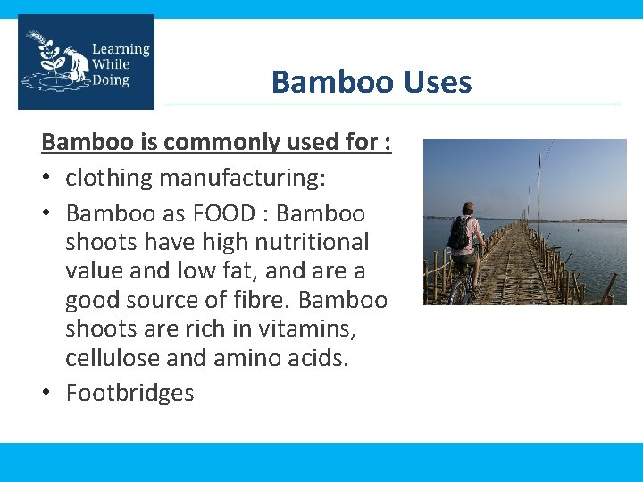 Bamboo Uses Bamboo is commonly used for : • clothing manufacturing: • Bamboo as