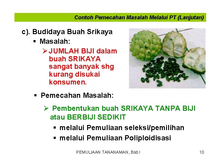 Contoh Pemecahan Masalah Melalui PT (Lanjutan) c). Budidaya Buah Srikaya § Masalah: Ø JUMLAH Contoh Pemecahan Masalah Melalui PT (Lanjutan) c). Budidaya Buah Srikaya § Masalah: Ø JUMLAH