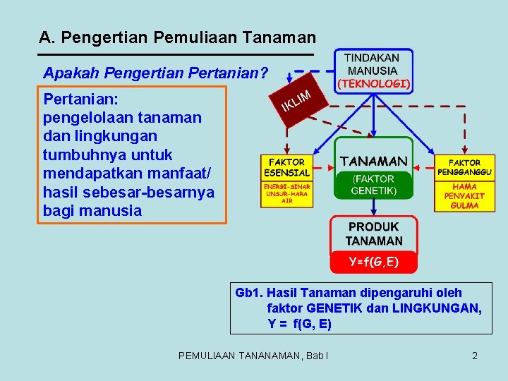 A. Pengertian Pemuliaan Tanaman Apakah Pengertian Pertanian? Pertanian: pengelolaan tanaman dan lingkungan tumbuhnya untuk A. Pengertian Pemuliaan Tanaman Apakah Pengertian Pertanian? Pertanian: pengelolaan tanaman dan lingkungan tumbuhnya untuk