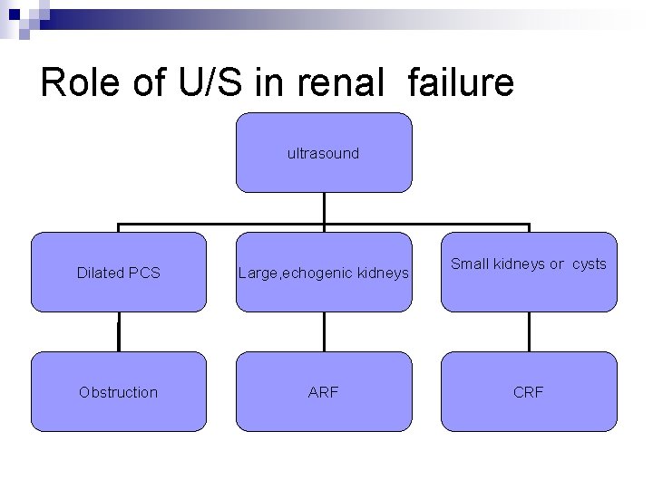 Role of U/S in renal failure ultrasound Dilated PCS Large, echogenic kidneys Obstruction ARF