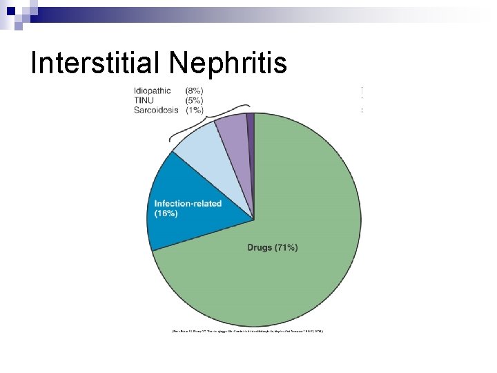 Interstitial Nephritis 