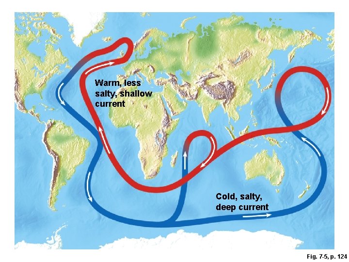 Warm, less salty, shallow current Cold, salty, deep current Fig. 7 -5, p. 124