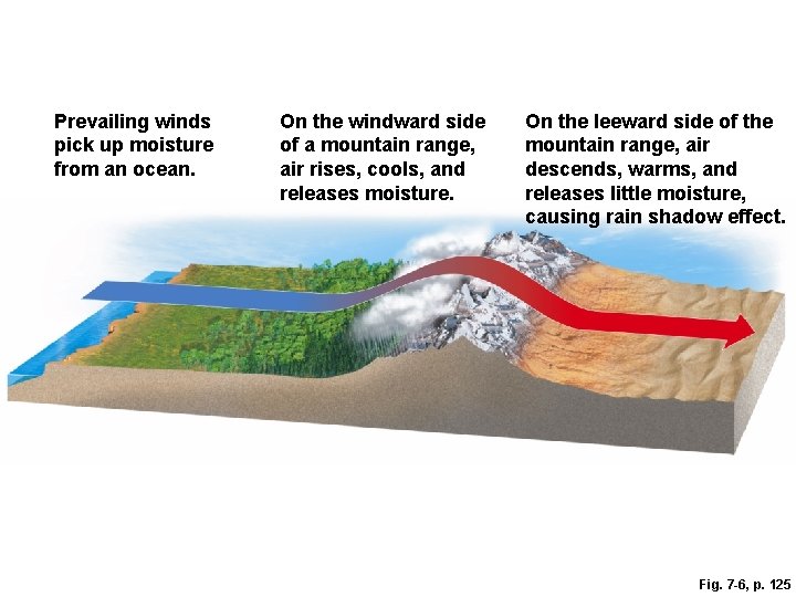 Prevailing winds pick up moisture from an ocean. On the windward side of a Prevailing winds pick up moisture from an ocean. On the windward side of a