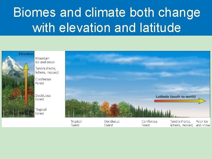 Biomes and climate both change with elevation and latitude 