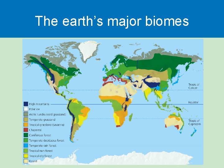 The earth’s major biomes  The earth’s major biomes
