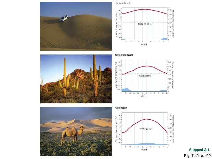 Stepped Art Fig. 7 -10, p. 129 