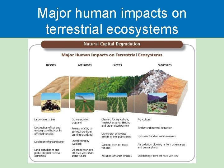 Major human impacts on terrestrial ecosystems  Major human impacts on terrestrial ecosystems