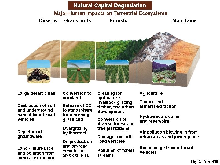 Natural Capital Degradation Major Human Impacts on Terrestrial Ecosystems Deserts Grasslands Forests Large desert