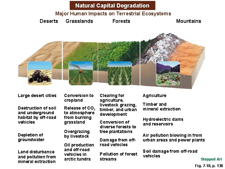 Natural Capital Degradation Major Human Impacts on Terrestrial Ecosystems Deserts Grasslands Forests Large desert