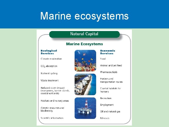 Marine ecosystems  Marine ecosystems