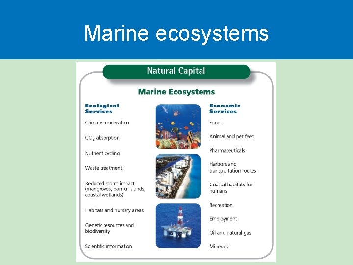 Marine ecosystems 