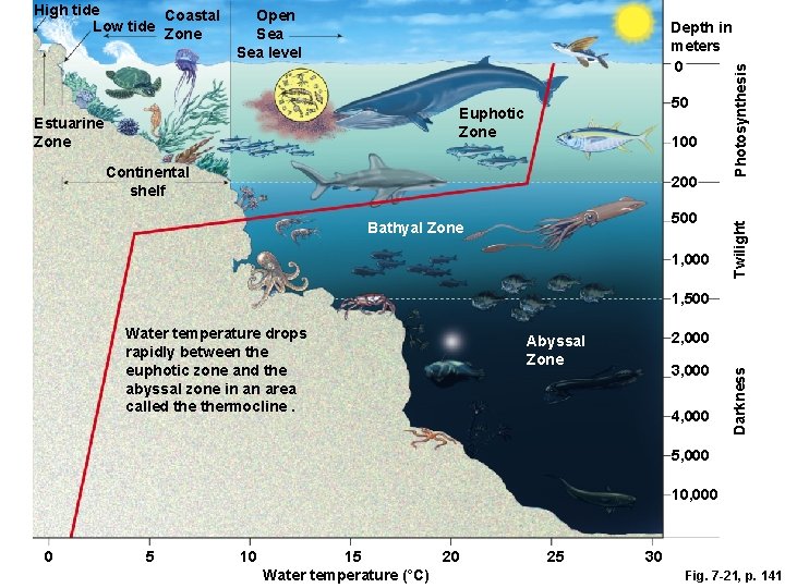 Depth in meters 0 50 Euphotic Zone Estuarine Zone 100 Continental shelf 200 500